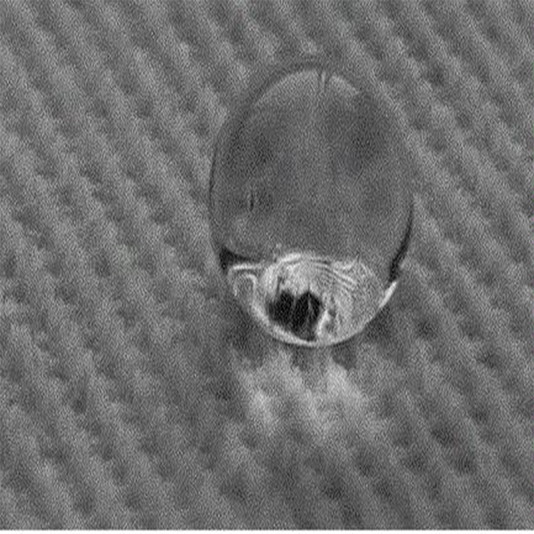 Super Hydrophobic Nano Coating Long Lasting De-Icing Paint Anti Icing Coating Low Ice Adhesion Big Water Contact Angle Super Self Cleaning Super Water Proof silicone rubber